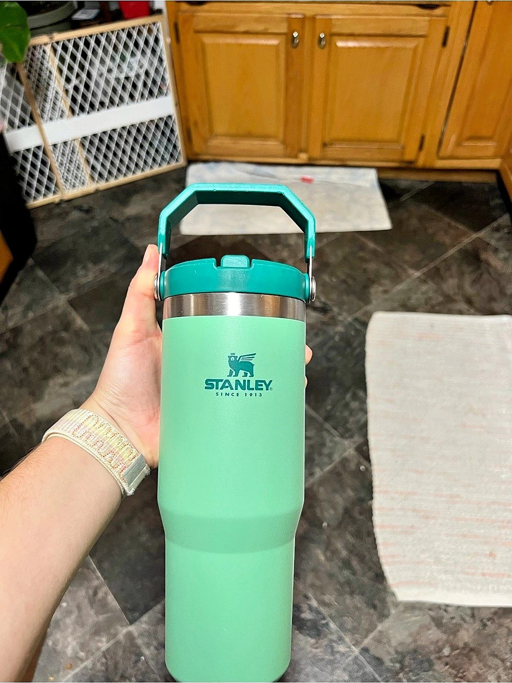 Stanley Quencher H2.0 FlowState Tumbler Green 30 oz Like New
